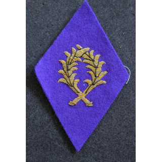 LOSANGE DE BRAS MODÈLE 45 : enseignant du contingent officier en cannetille