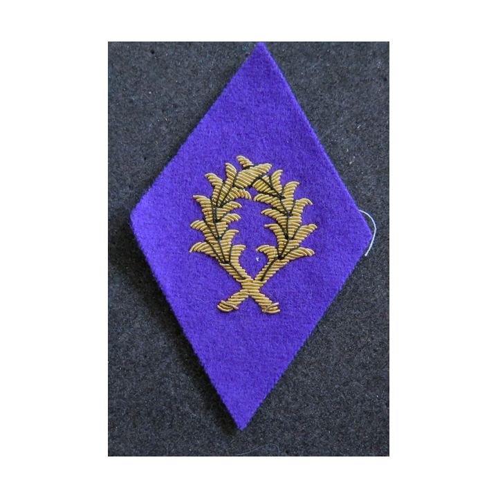 LOSANGE DE BRAS MODÈLE 45 : enseignant du contingent officier en cannetille