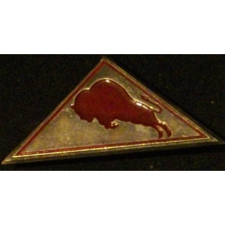 CJF 9 : CHANTIER DE LA JEUNESSE LES BISONS PEINT TRIANGLE (DBER)