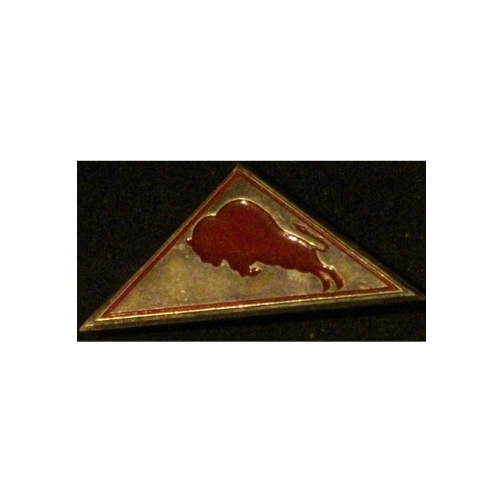 CJF 9 : CHANTIER DE LA JEUNESSE LES BISONS PEINT TRIANGLE (DBER)