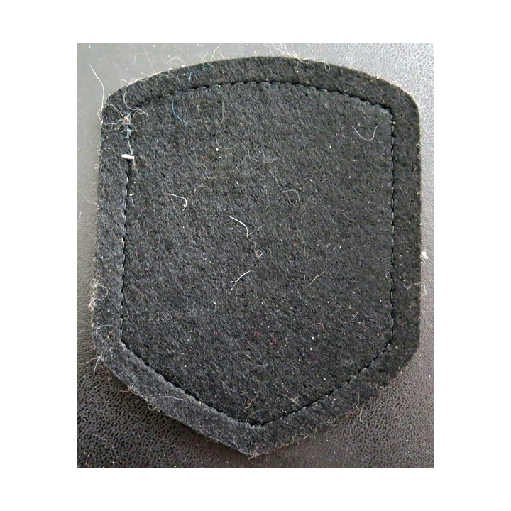 KAZAKHSTAN : insigne des troupes cosaques du kazakhstan
