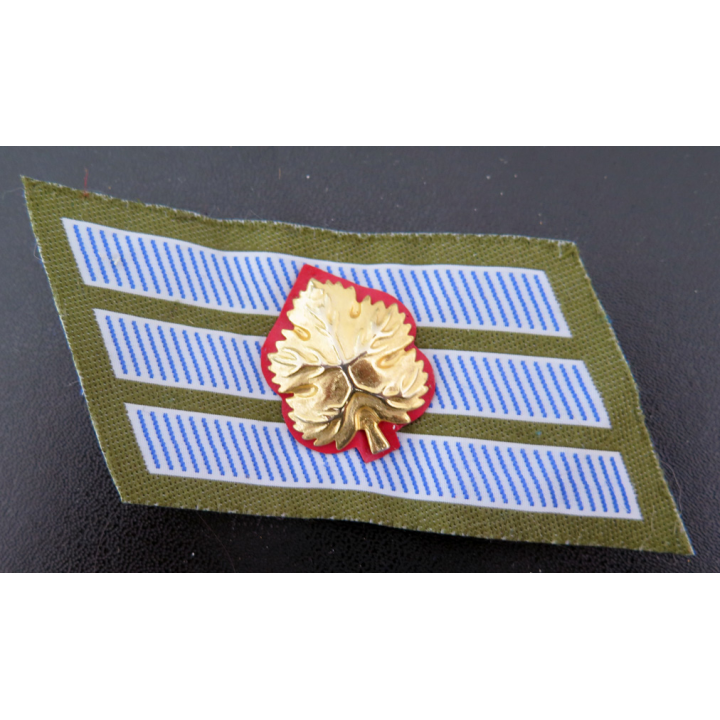 ISRAEL : insigne de grade de senior sergent de l'armée israélienne