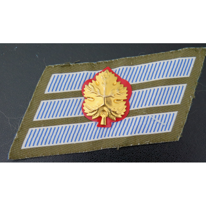 ISRAEL : insigne de grade de senior sergent de l'armée israélienne