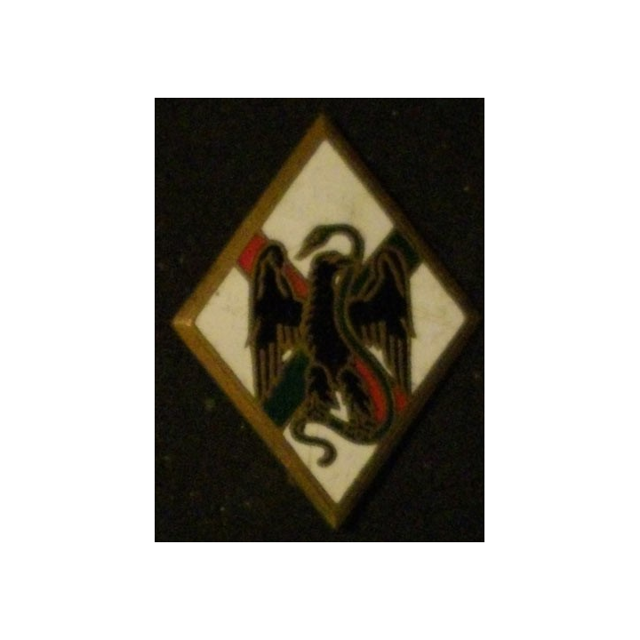1° REI : 1° RÉGIMENT ÉTRANGER D'INFANTERIE (DUSEAUX 1198)