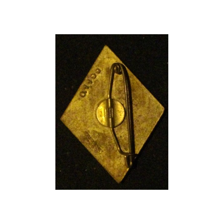 1° REI : 1° RÉGIMENT ÉTRANGER D'INFANTERIE (DUSEAUX 1198)