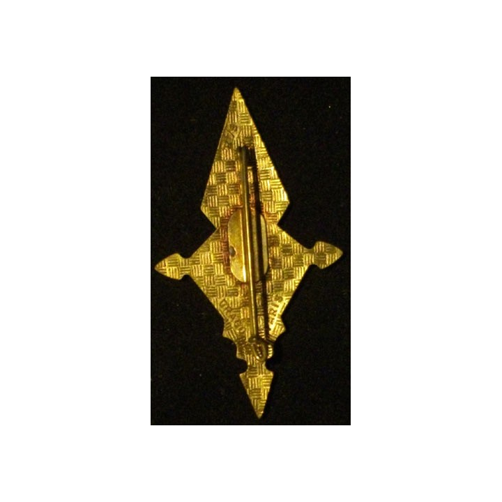 1°REI : 1°RÉGIMENT ÉTRANGER D'INFANTERIE 10°CIE MIXTE (REFRAPPE)