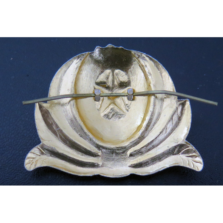 KAZAKHSTAN : cocarde de casquette des Forces armées