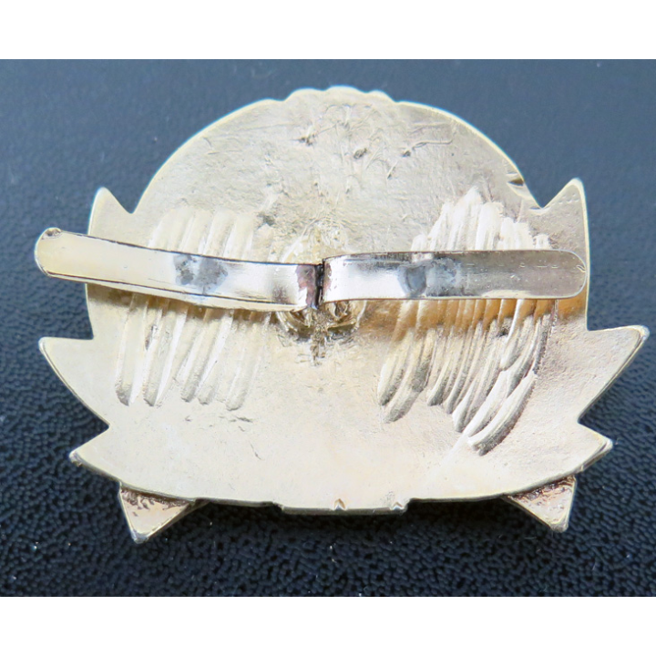 KAZAKHSTAN : cocarde de casquette des Forces de la Protection de la nature