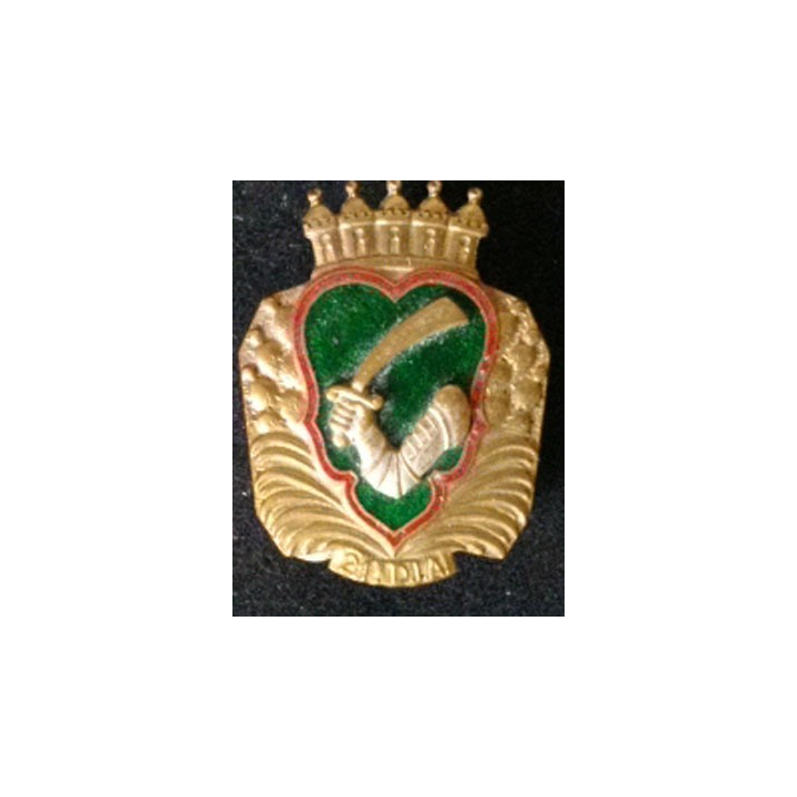 21° division d'infanterie algérienne DIA Drago Olivier Métra G. 878
