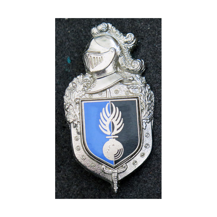 Insigne du personnel de la gendarmerie affecté hors territoire Plateau Delsart H.696 et Delsart G.2190
