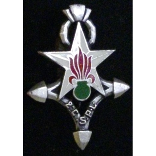 2°CSPL : 2°COMPAGNIE SAHARIENNE PORTÉE DE LA LÉGION (REFRAPPE)