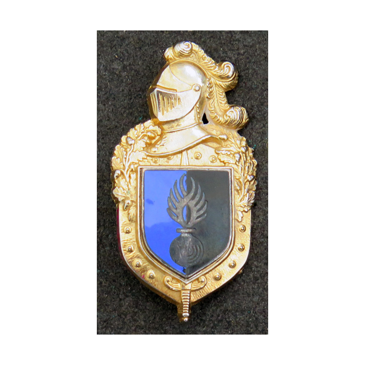 Insigne du personnel de la gendarmerie affecté hors territoire Plateau AB LOUIS DEL H.696et  écu G. 2190 émail