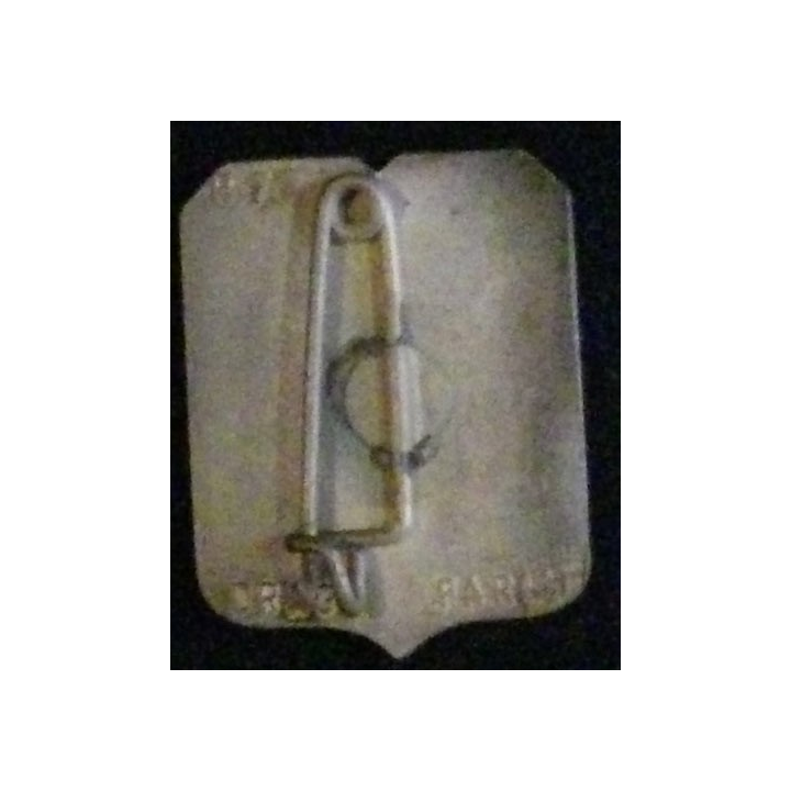 5° REI : 5° RÉGIMENT ÉTRANGER D'INFANTERIE 1°BATAILLON (R77)