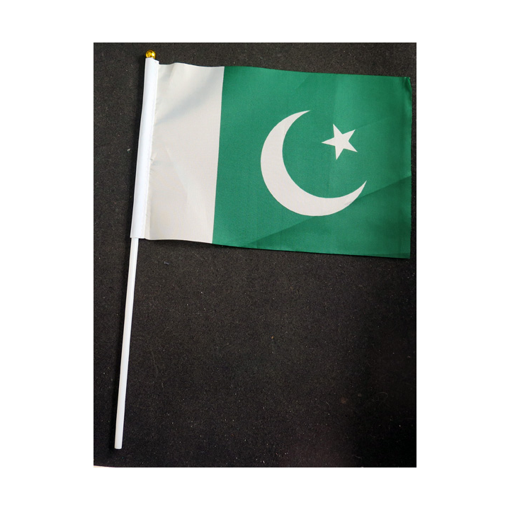 Petit drapeau à main du Pakistan fixé sur une hampe en plastique blanc 20 x 13,5 cm