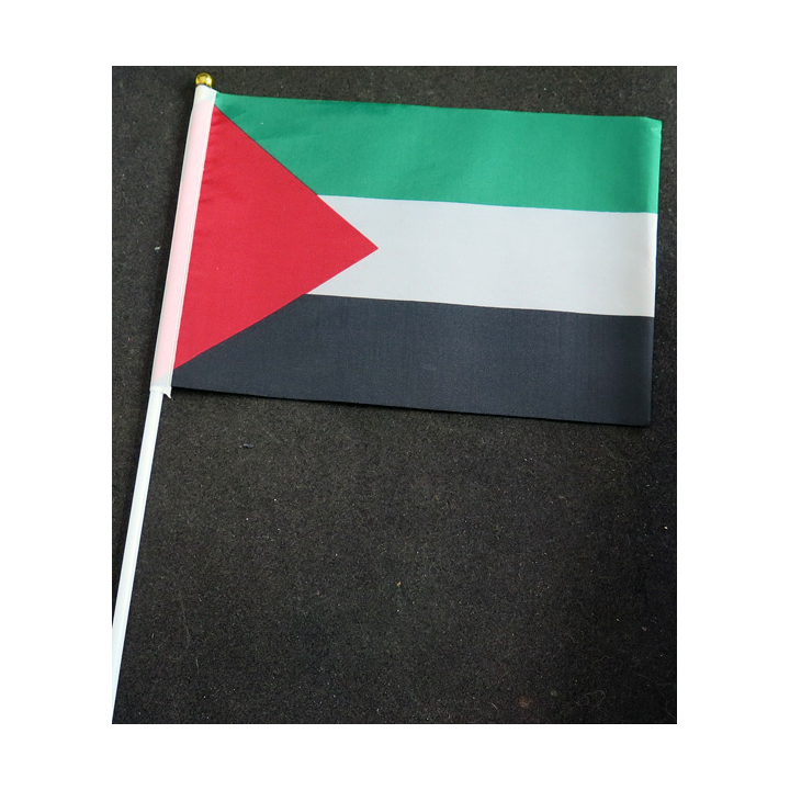 Petit drapeau à main de la Palestine fixé sur une hampe en plastique blanc 20 x 13,5 cm