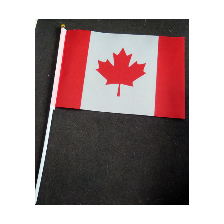 Petit drapeau à main du Canada fixé sur une hampe en plastique blanc 20 x 13,5 cm