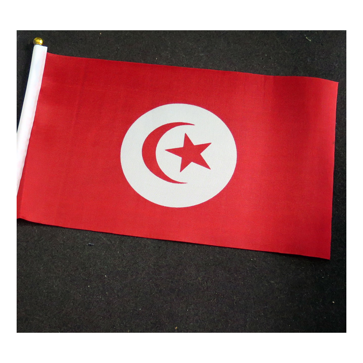 Petit drapeau à main de la Tunisie fixé su r une hampe en plastique blanc 20 x 13,5 cm