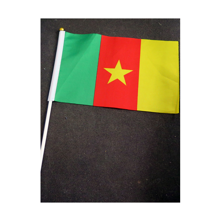 Petit drapeau à main du Cameroun fixé sur une hampe en plastique blanc 20 x 13,5 cm