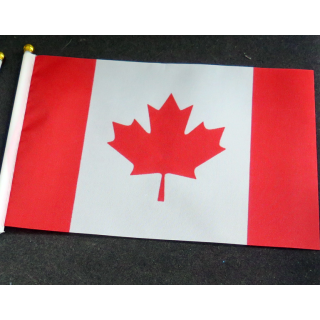 Petit drapeau à main du Canada fixé sur une hampe en plastique blanc 20 x 13,5 cm