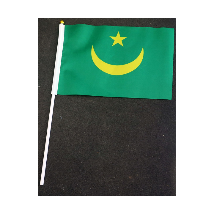 Petit drapeau à main de la Mauritanie fixé sur une hampe en plastique blanc 20 x 13,5 cm