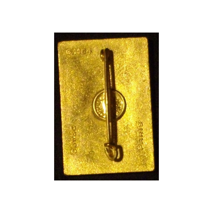 5° REI : 5° RÉGIMENT ÉTRANGER D'INF EXTRÊME ORIENT ÉMAIL (D1154)
