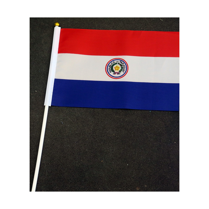 Petit drapeau à main du Paraguay fixé sur une hampe en plastique blanc 20 x 13,5 cm