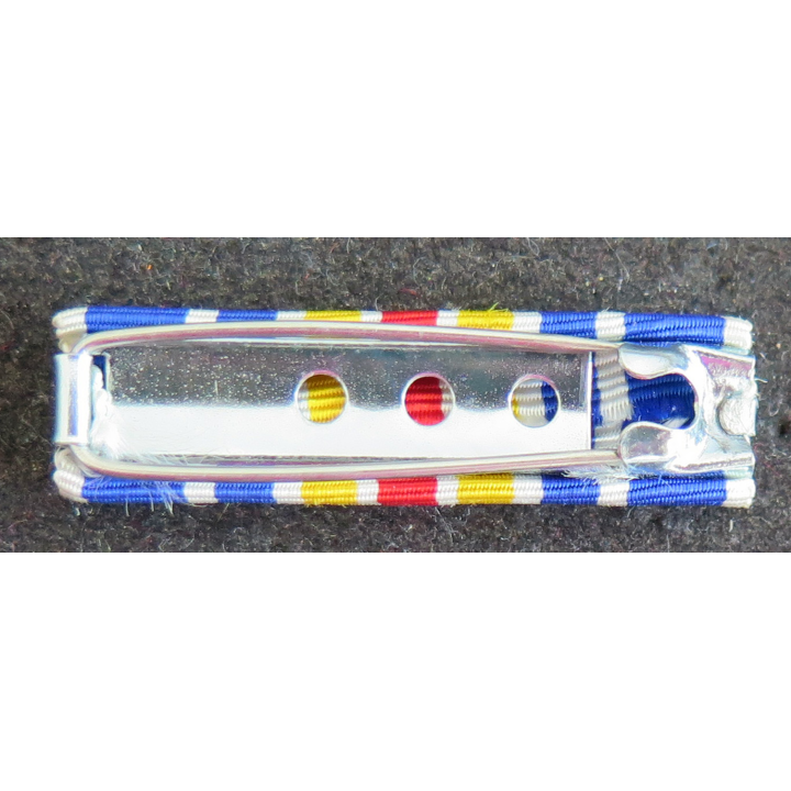 FRANCE : Rappel de décoration de la médaille des blessés