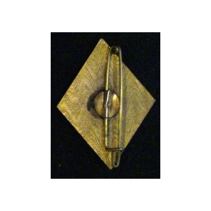 1° REI : 1° RÉGIMENT ÉTRANGER D'INFANTERIE (SANS)