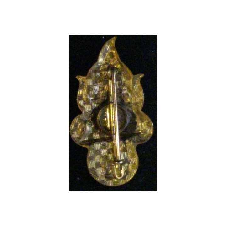 2° REI : 2° RÉGIMENT ÉTRANGER D'INFANTERIE CIE DISCIPLINE EO