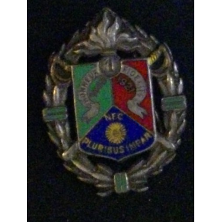 1° REC : 1° RÉGIMENT ÉTRANGER DE CAVALERIE (DRAGO ROM) ÉMAIL