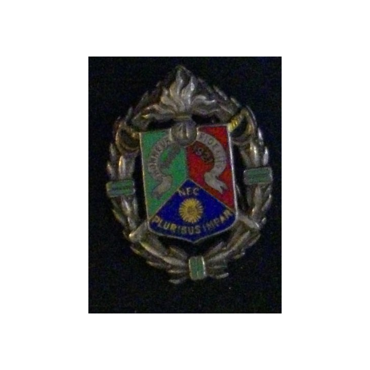 1° REC : 1° RÉGIMENT ÉTRANGER DE CAVALERIE (DRAGO ROM) ÉMAIL
