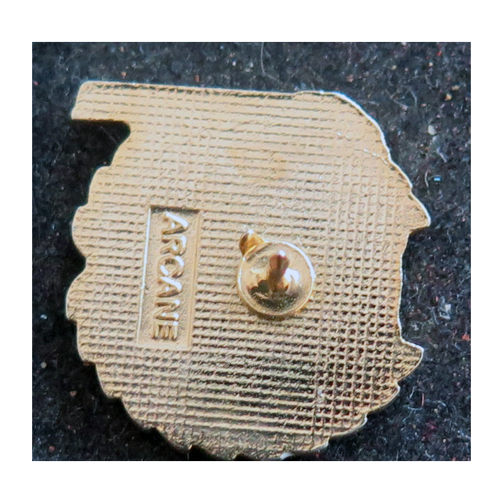 Pin's Paris dakar 1991 La victoire pour Total