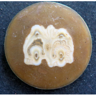 Médaillon ou broche intégrant une coupe transversale de dent d'herbivore cerclé de métal doré (cuivre ou laiton)