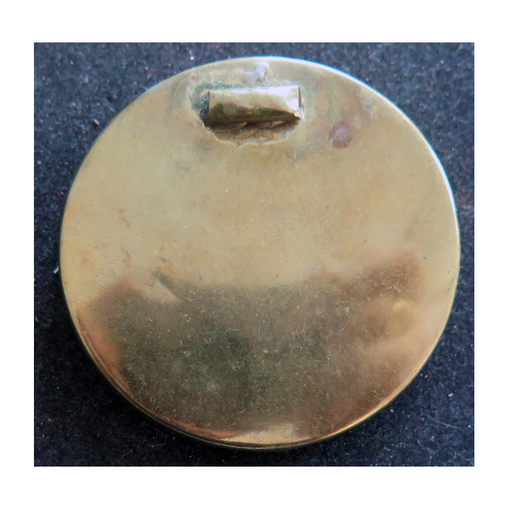 Médaillon ou broche intégrant une coupe transversale de dent d'herbivore cerclé de métal doré (cuivre ou laiton)