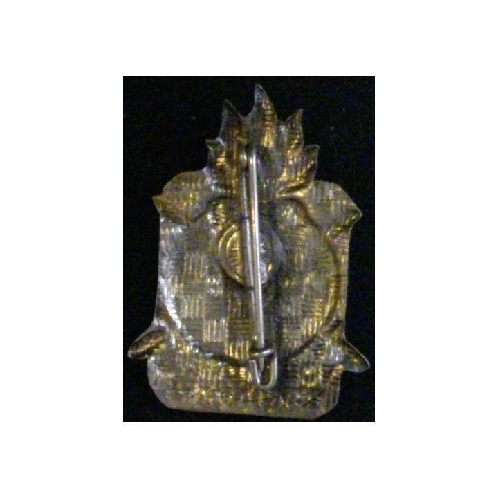 2° RMVE : 2° RÉGIMENT MARCHE DES VOLONTAIRES ÉTRANGERS