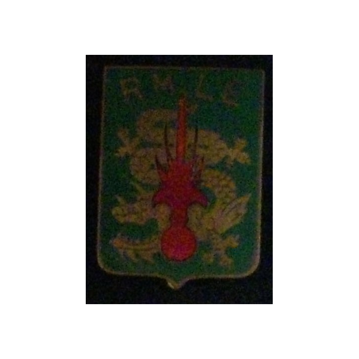 RMLE : RÉGIMENT DE MARCHE LÉGION ÉTRANGÈRE EO 32 mm (AB) ÉMAIL