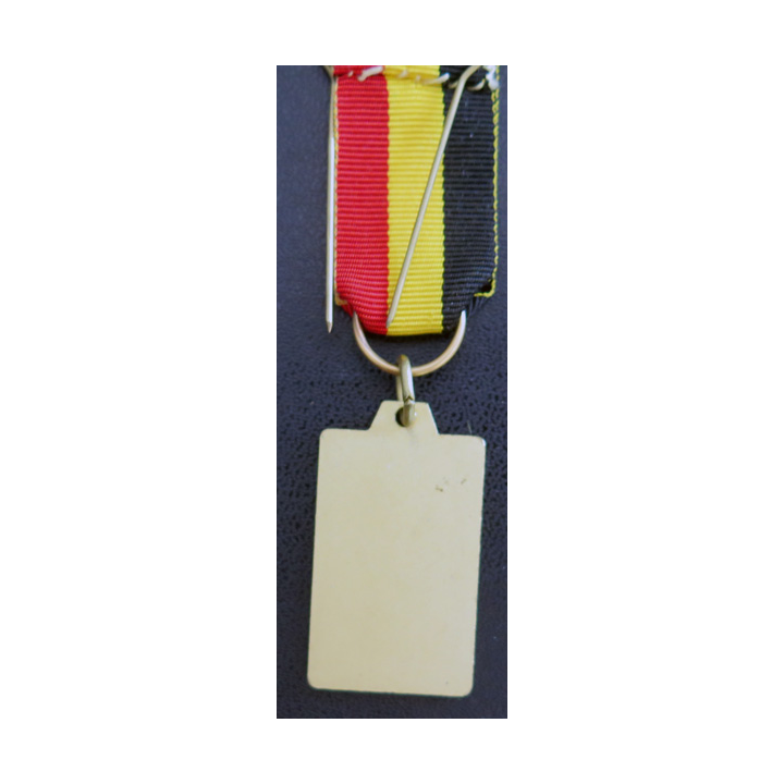 BELGIQUE : médaille de la Confédération européenne des anciens combattants ECOS avec ruban belge