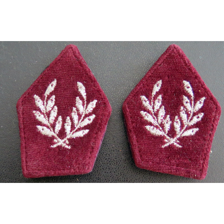 PATTE DE COL : Paire de patte de col du service de santé en fil métallique argenté sur crochets