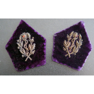 PATTE DE COL : Paire de patte de col de chirurgien dentiste en cannetille
