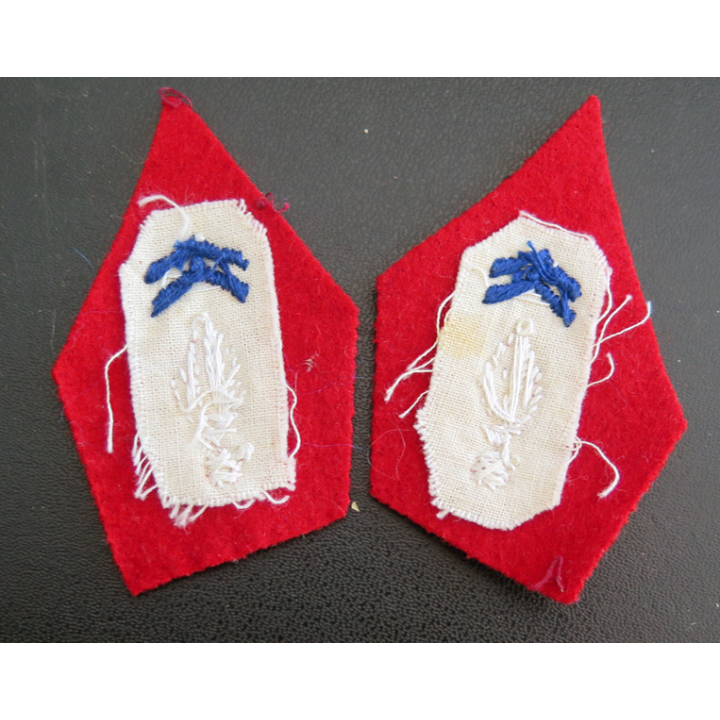 PATTE DE COL : Paire de patte de col de l'artillerie officier en cannetille