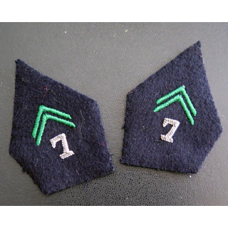 PATTE DE COL : Paire de patte de col du 7° régiment de chasseurs officier en cannetille