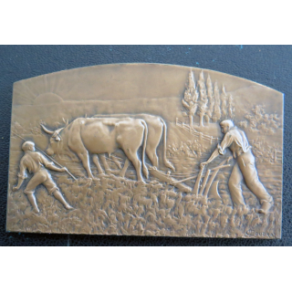 Médaille en bronze du Comice agricole de Lunéville Prix cultural 1949 M. Lucien Marin leintrey 7 x 4,5 cm en coffret