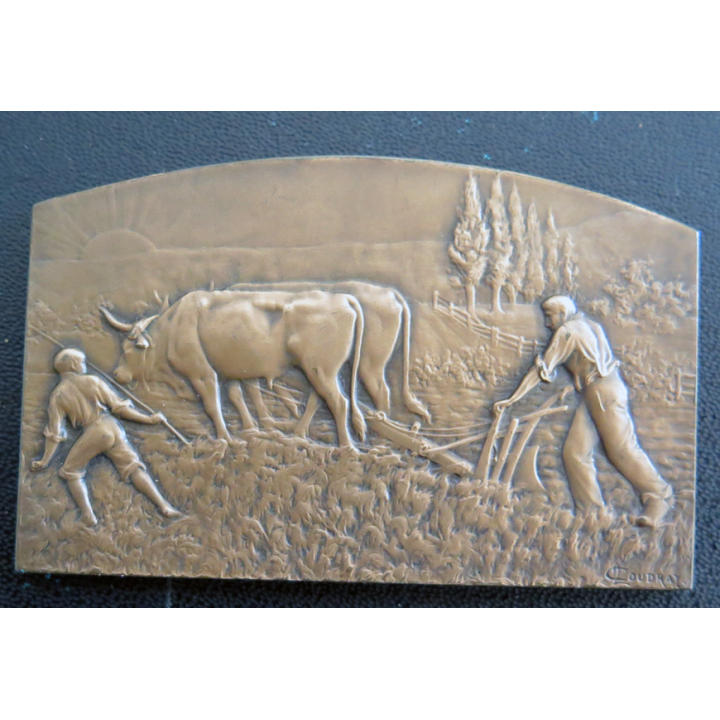 Médaille en bronze du Comice agricole de Lunéville Prix cultural 1949 M. Lucien Marin leintrey 7 x 4,5 cm en coffret