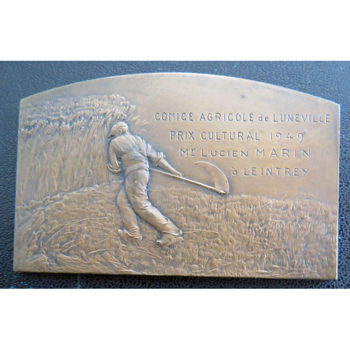 Médaille en bronze du Comice agricole de Lunéville Prix cultural 1949 M. Lucien Marin leintrey 7 x 4,5 cm en coffret