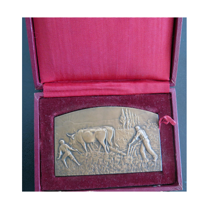 Médaille en bronze du Comice agricole de Lunéville Prix cultural 1949 M. Lucien Marin leintrey 7 x 4,5 cm en coffret