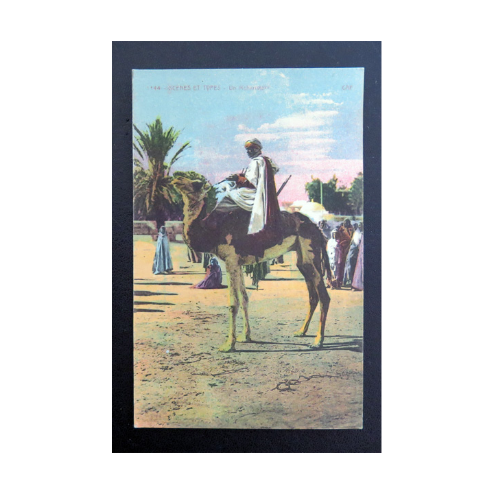 Carte postale militaire CPA ancienne colorisée de la collection "scènes et types" intitulée Le Méhariste