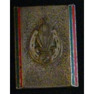 2° REI : 2° RÉGIMENT ÉTRANGER D'INF (DRAGO) 2 BOLÉROS ÉMAIL