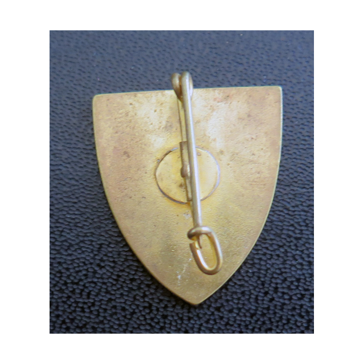 ANJOU : insigne religieux du diocèse d'Anjou