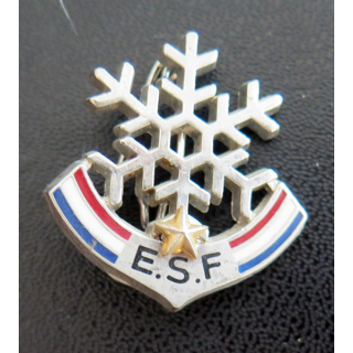 ESF : brevet de l'école du ski français 1 étoile