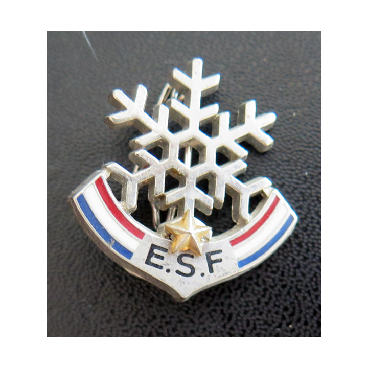 ESF : brevet de l'école du ski français 1 étoile